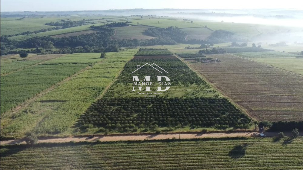 Fazenda/sítio/chácara/haras à venda  no Área Rural de Artur Nogueira - Artur Nogueira, SP. Imóveis