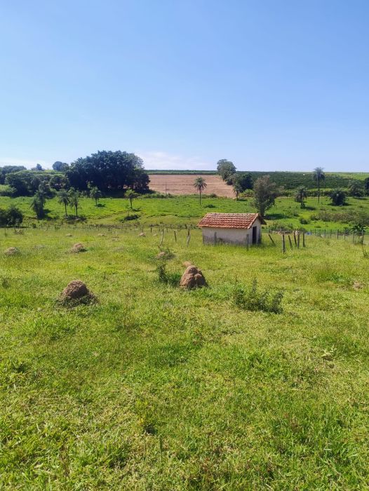 S�tio - Venda - �rea Rural - Artur Nogueira - SP