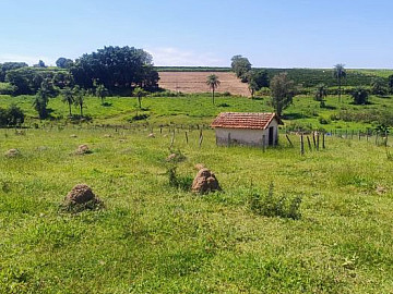 Sitio 20 mil metros � 4 km da vicinal para Mogi